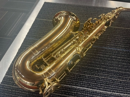 Carlton Student Alto Sax 2